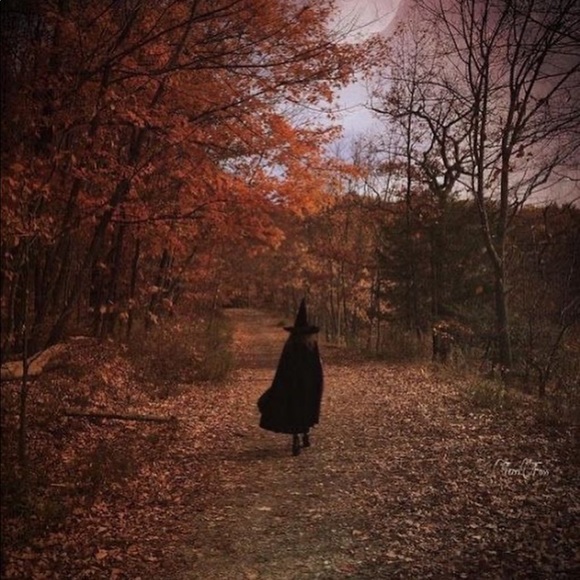 Meet the Posher - Picture 3 of 4